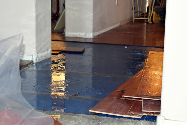 Professional Flood Cleanup technician working in Burlington, MA